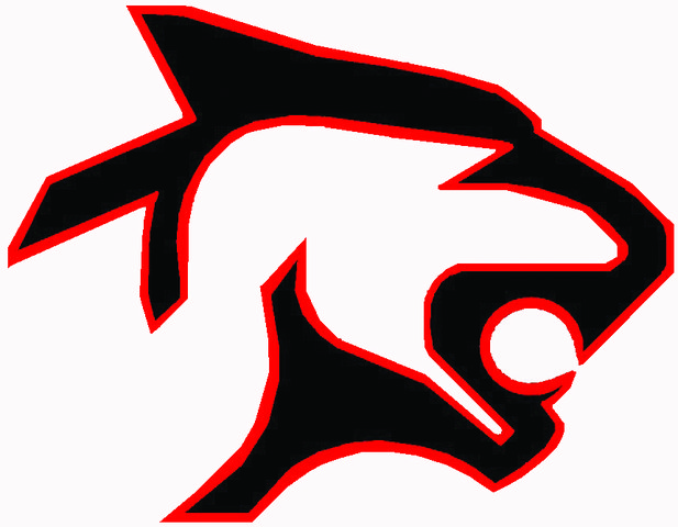 Manhattan sweeps Panthers in twin bill