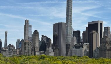 Vox is hunting for New York City’s undiscovered insect species