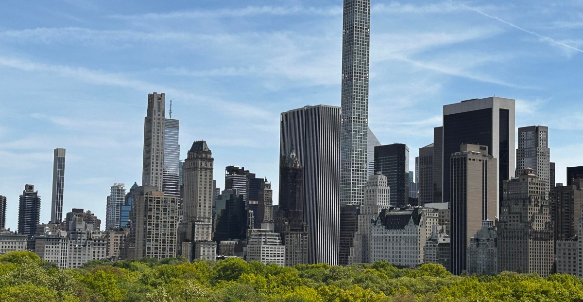 Vox is hunting for New York City’s undiscovered insect species