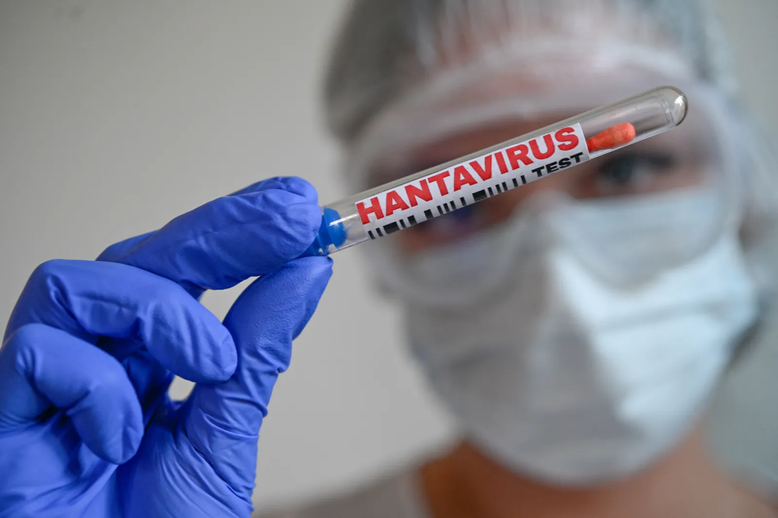 Stock Image: A person wearing protective gear handles a test tube labeled "Hantavirus Test."