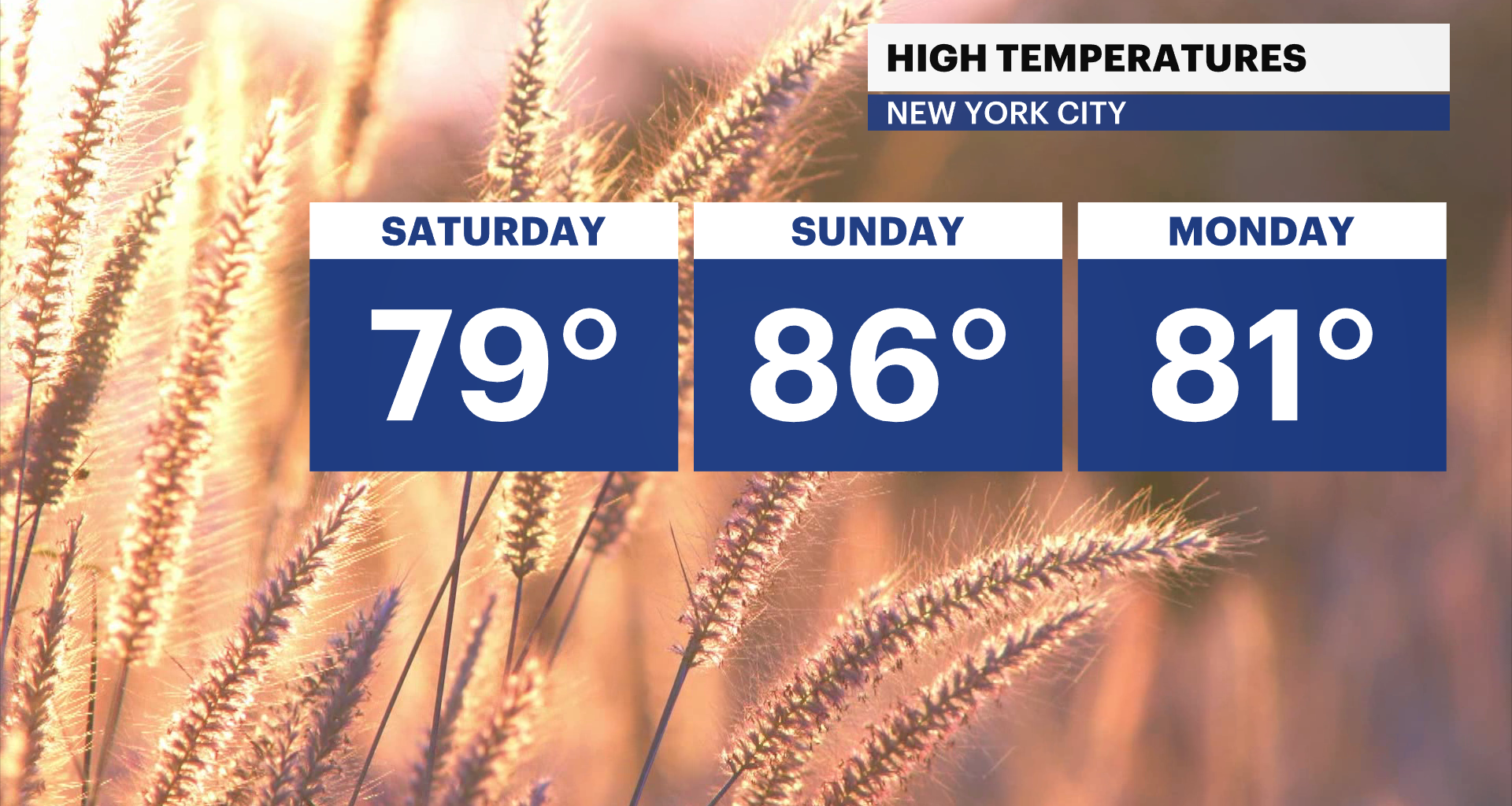 News 12 | Bronx | Your Daily Bronx Weather Forecast