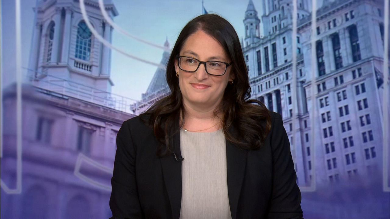Looking at the past year of legal battles with ICE in NYC