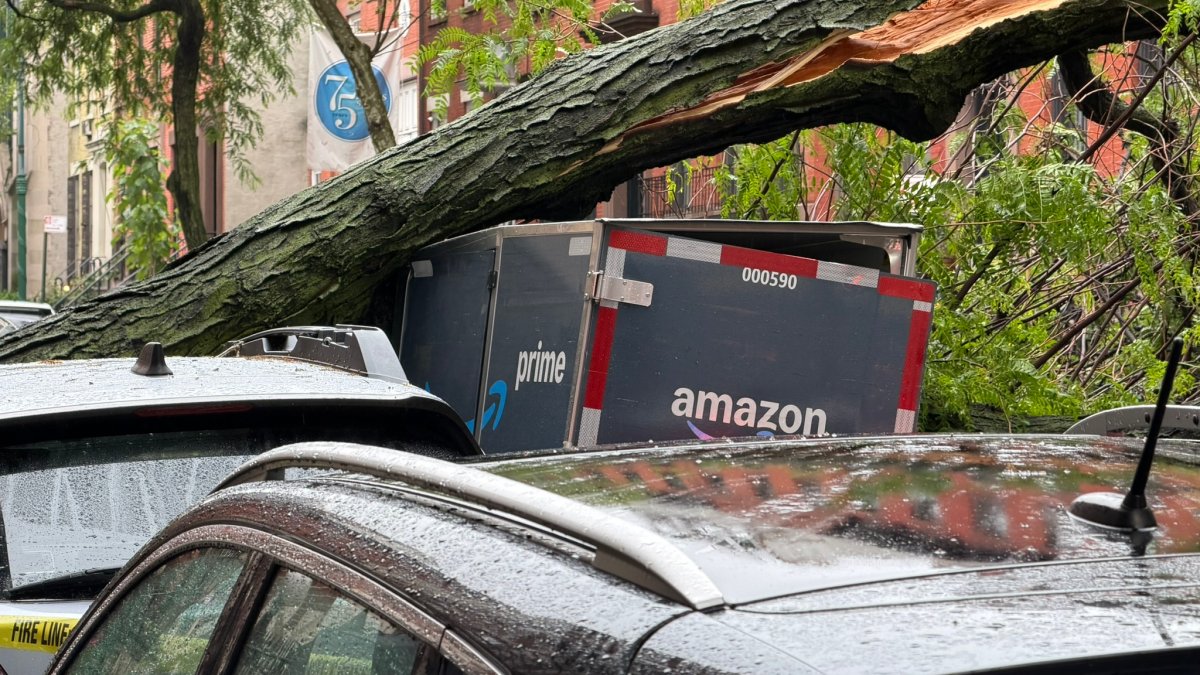 ‘It sounded like a bomb going off’: Tree smashes into Amazon cargo bike, cars – NBC New York