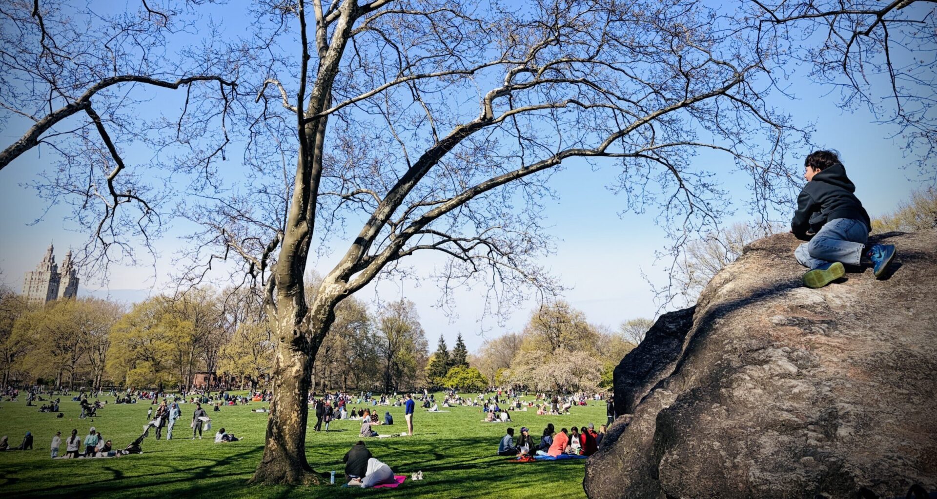 Waiting for Sheep Season on the Upper West Side