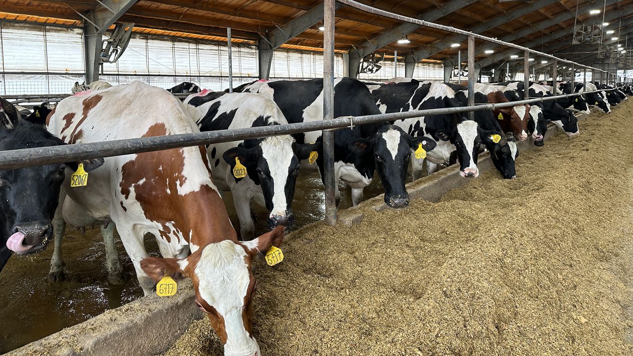 'Tariff relief' help on the way for N.Y. farmers?