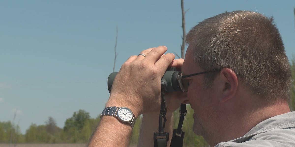 New York libraries offer free bird-watching gear, guides