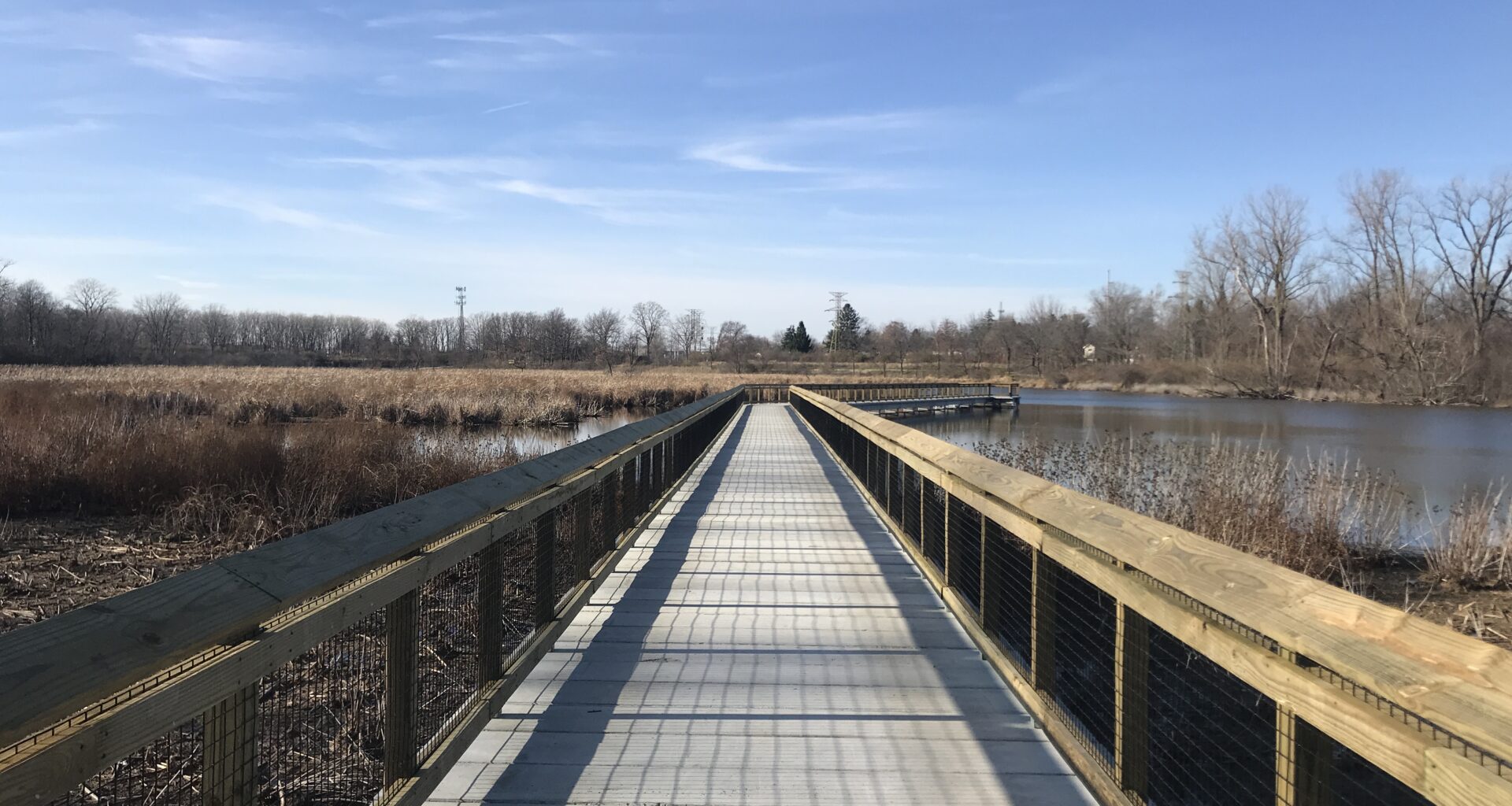 Boardwalk over a marsh area