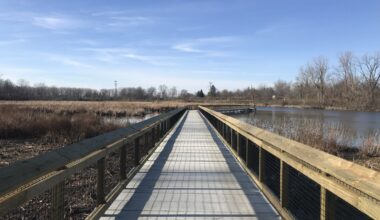 Boardwalk over a marsh area