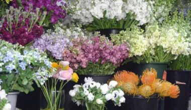 Flower sales bloom as New Yorkers celebrate Mother's Day