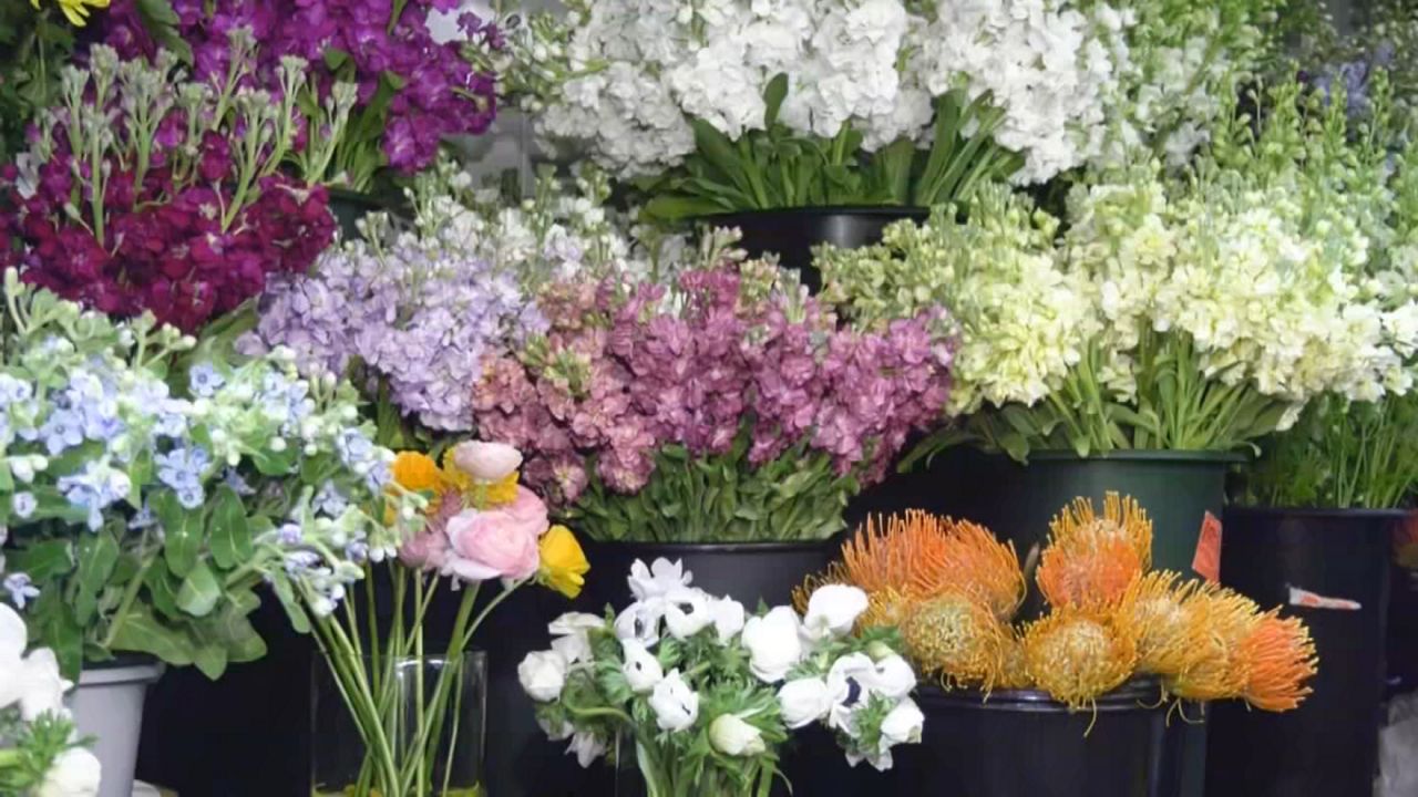 Flower sales bloom as New Yorkers celebrate Mother's Day