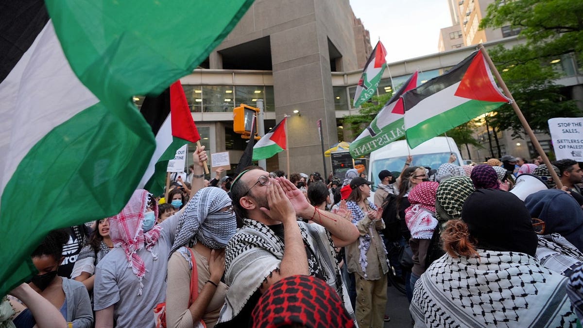 Pro-Palestinian protesters