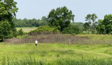 Exploring upstate New York's parks, trails and green spaces
