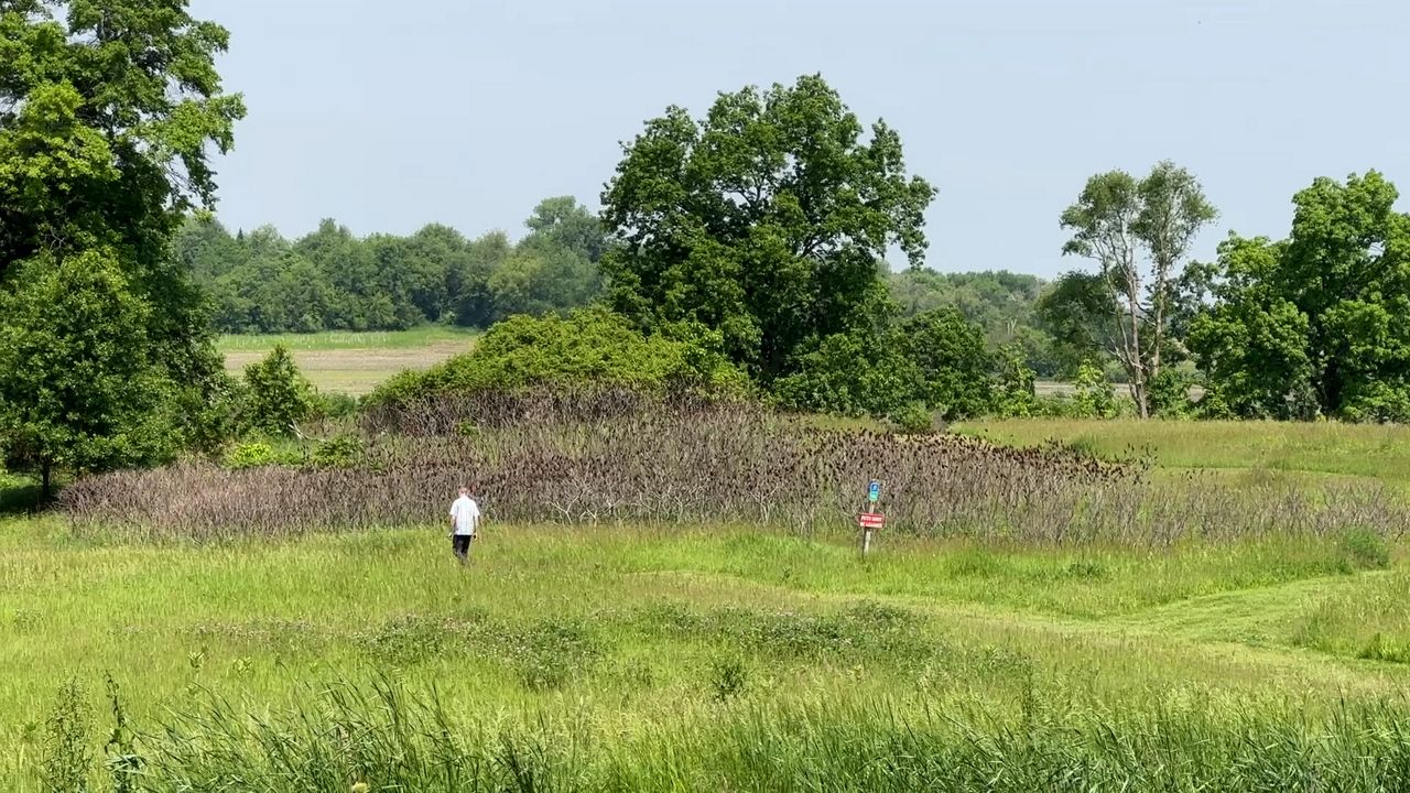 Exploring upstate New York's parks, trails and green spaces