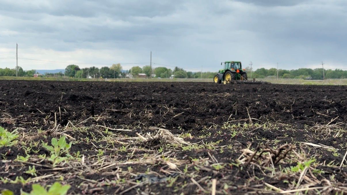 N.Y. farmer on financial uncertainties, mental health