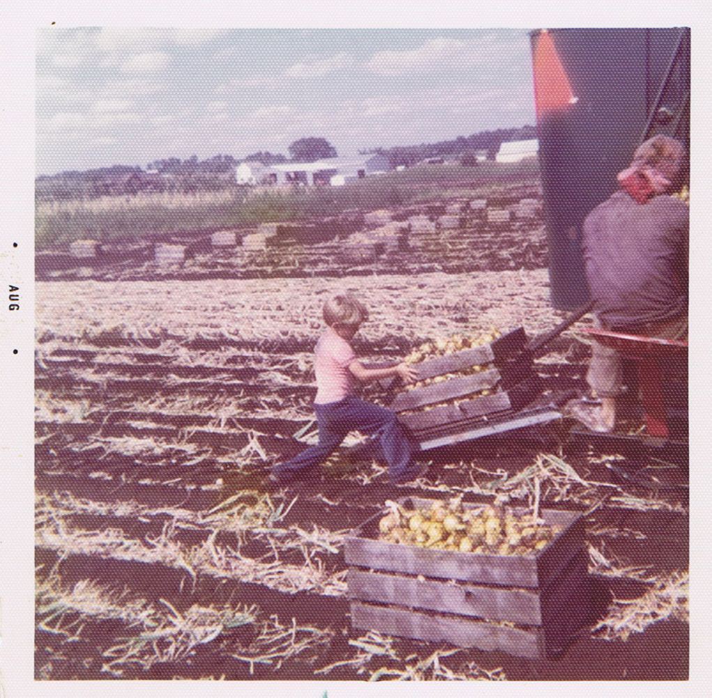 Pawelski, age five, catches onion on the family farm. (Chris Pawelski)