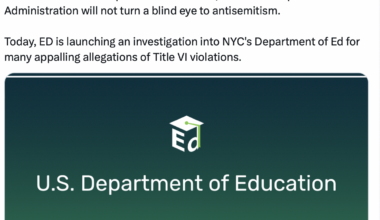 The Blogs: DOE probes NYC schools over antisemitism—finally!! | Karen Feldman