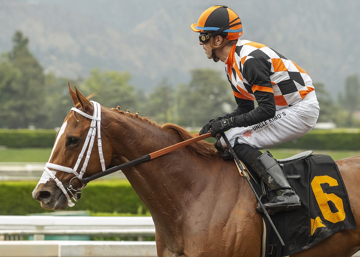 Queen Maxima, Intrepido Headed to Farm for Layoff