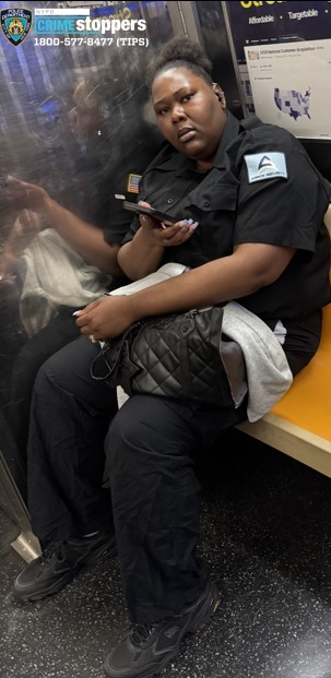 Security guard sought for punching 77-year-old woman aboard Manhattan train because it was ‘too hot’: sources