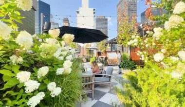 Rooftop and waterfront dining picks for summer