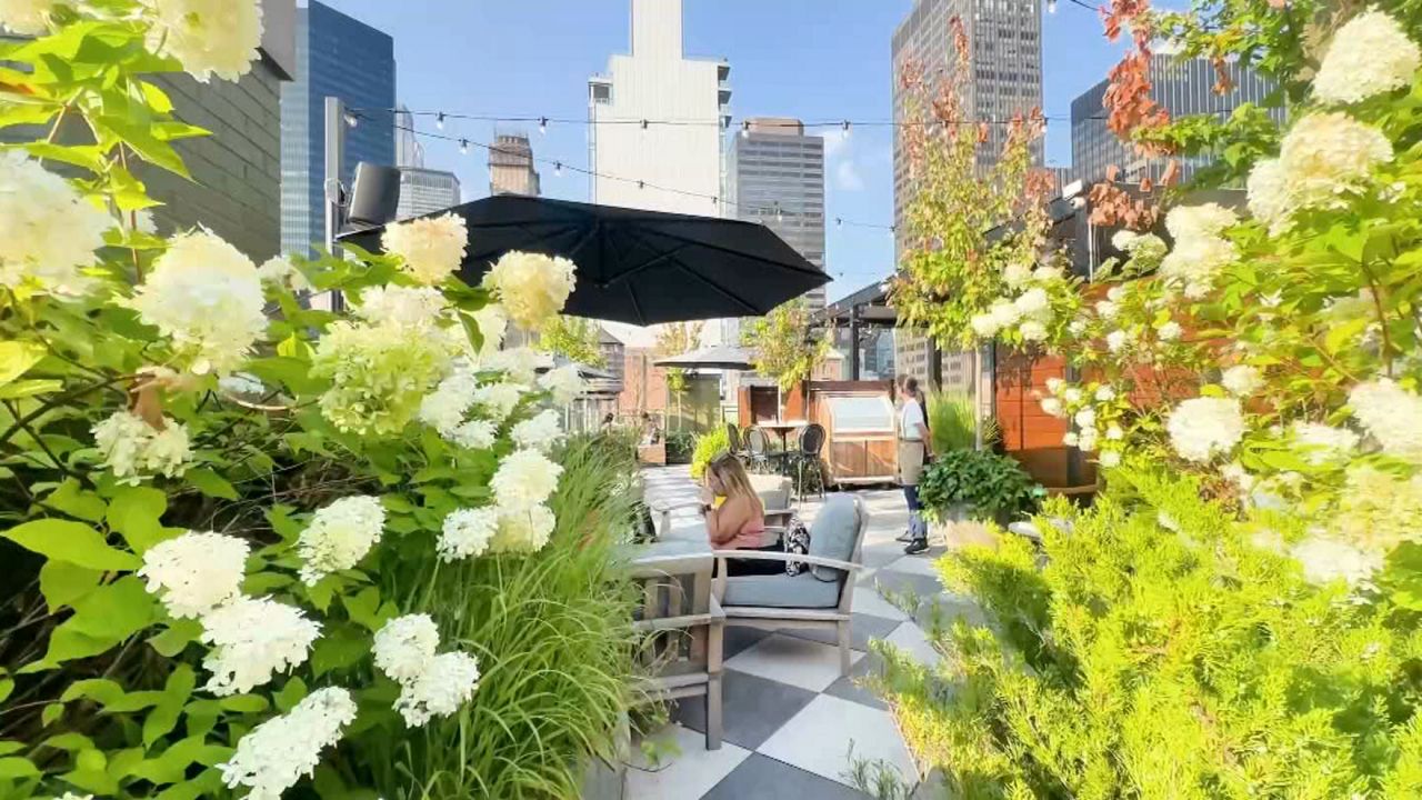 Rooftop and waterfront dining picks for summer