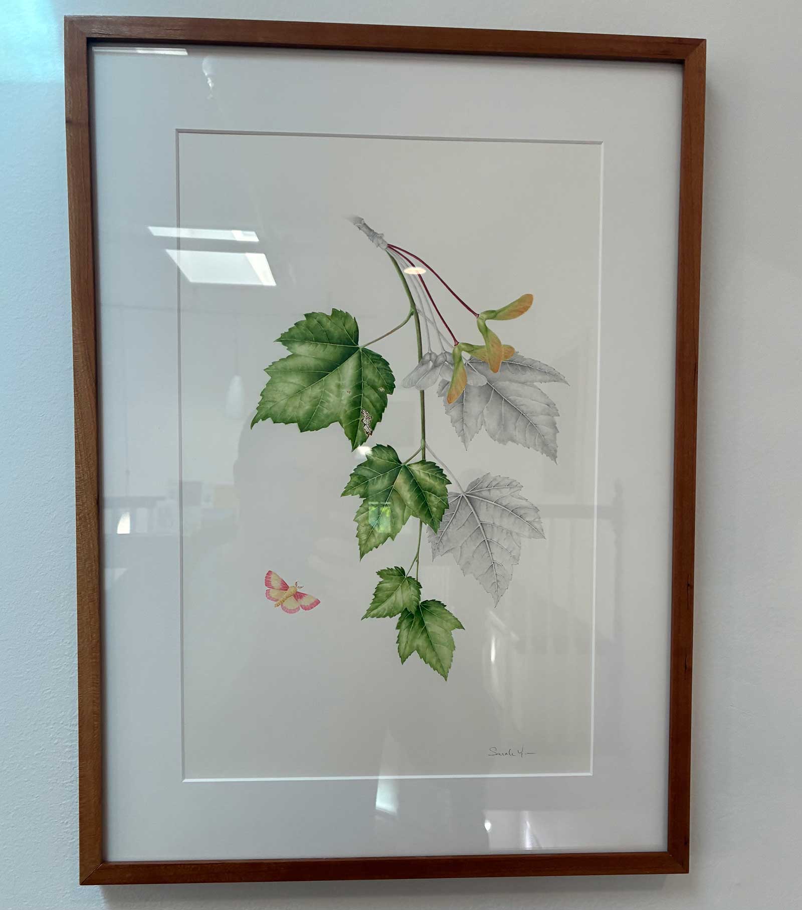 Sarah Yu Maple Leaves