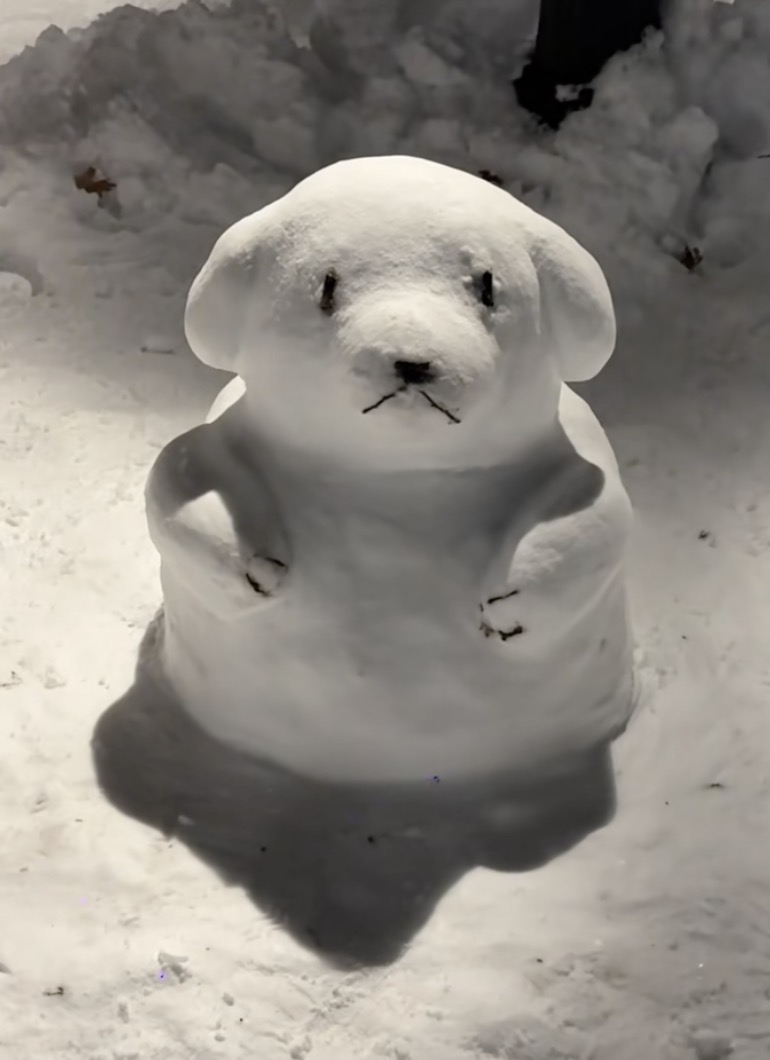 A Man Took A Stroll Through A Snowman Museum In Brooklyn snowman in a park