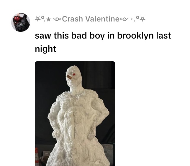 A Man Took A Stroll Through A Snowman Museum In Brooklyn Screenshot 2026 03 22 at 10.53.16 AM A Man Took A Stroll Through A Snowman Museum In Brooklyn