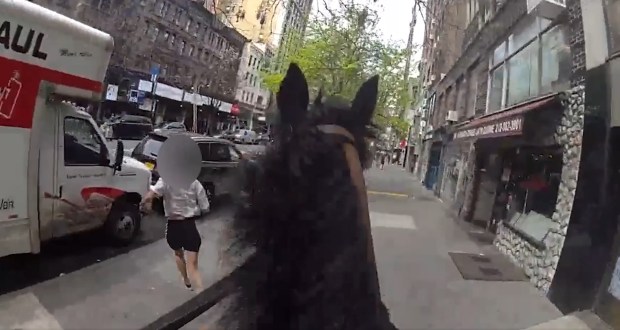 NYPD body cam footage shows mounted police officer Kyle McLaughlin and his horse, Kelly, chase down accused purse snatcher Felicia Field at W. 72nd St. and Columbus Ave. in Manhattan on April 15. 