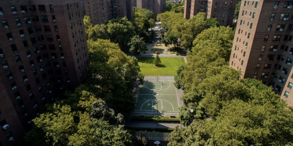 NYLCV Examines 2026 NYCHA Sustainability Agenda
