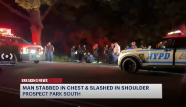 News 12 | Bronx | 24 Year Old Male Stabbed In Chest In Prospect Park