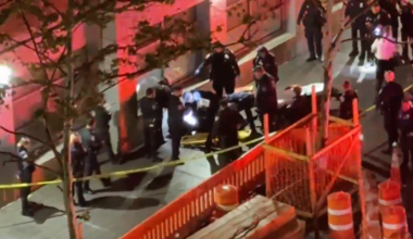 News 12 | Bronx | Man Dies After Shooting In Melrose