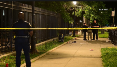 News 12 | Bronx | Woman Dies After Being Shot In The Face Near University Heights Playground