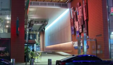 Teen suspect says Social media trend inspired Times Square killing – NBC New York