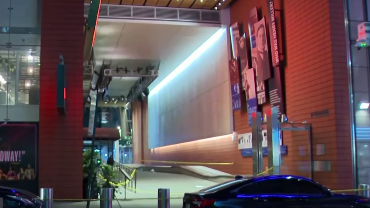 Teen suspect says Social media trend inspired Times Square killing – NBC New York