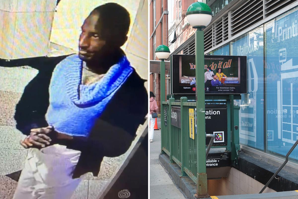 Maniac just released from psych ward fatally pushes elderly man down NYC subway steps: cops