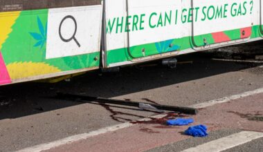 Woman arrested at JFK for fatally stabbing boyfriend by Bronx weed truck