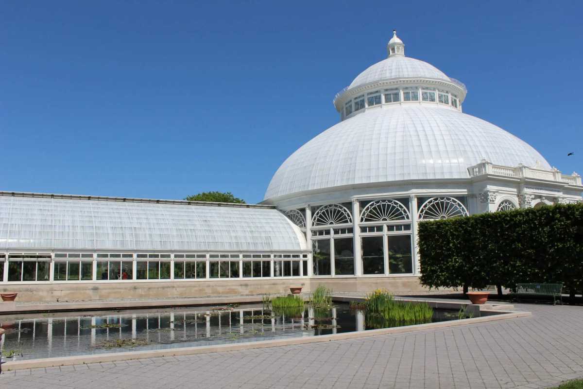 What’s happening | Fitness, Mother’s Day, a fundraising gala and more – Bronx Times