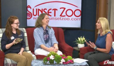 Make plans for Wine in the Wild at Manhattan’s Sunset Zoo