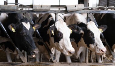 Farmers continue to push for immigration reform