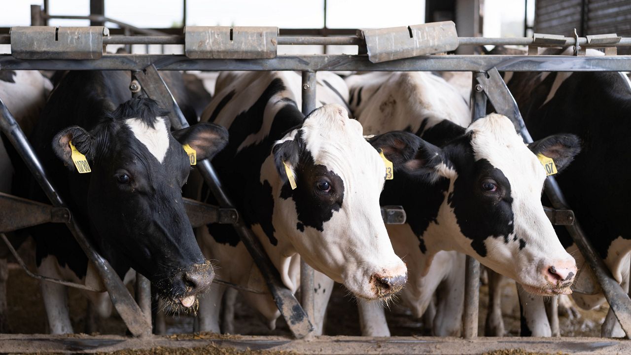 Farmers continue to push for immigration reform