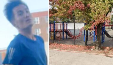 Sicko wanted for shoving group of children, choking 7-year-old boy in NYC park