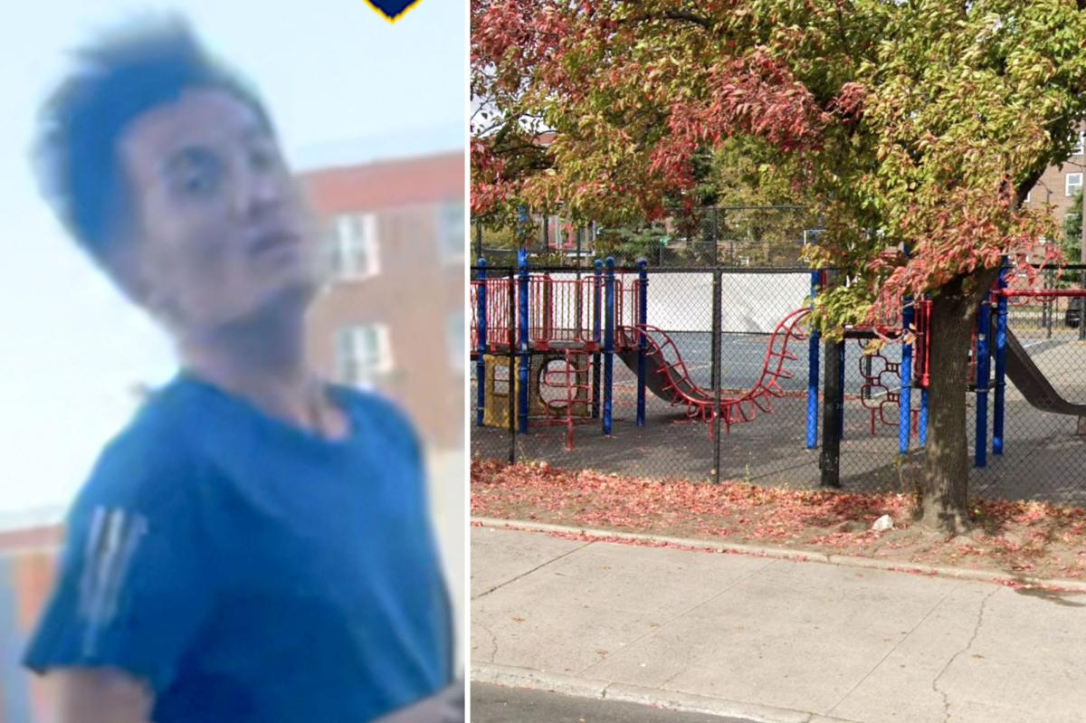 Sicko wanted for shoving group of children, choking 7-year-old boy in NYC park