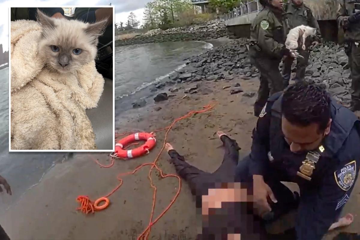 NYPD rescue woman, cat stranded in water underneath Brooklyn Bridge: video