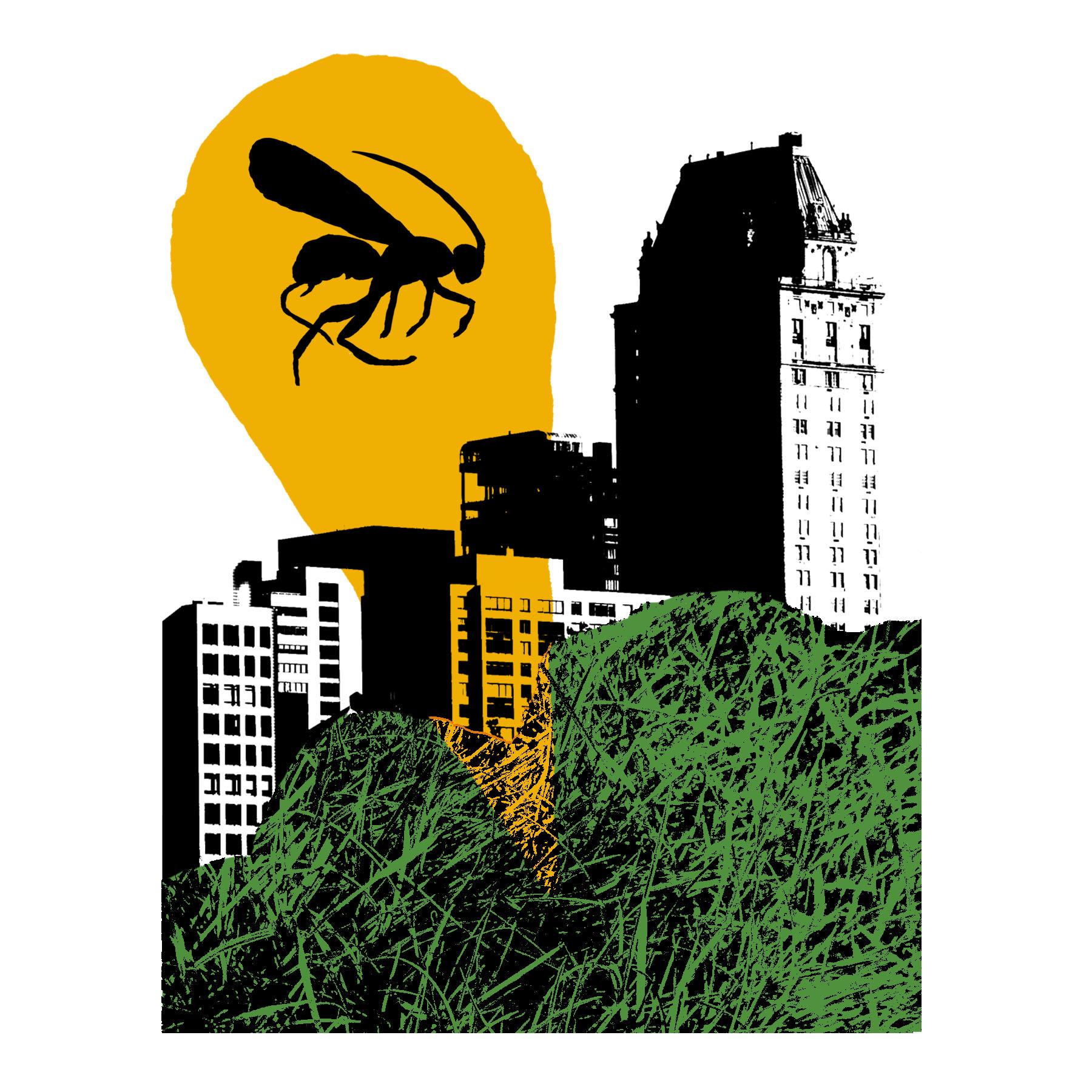the silhouette of a wasp spotlighted in yellow above a cityscape