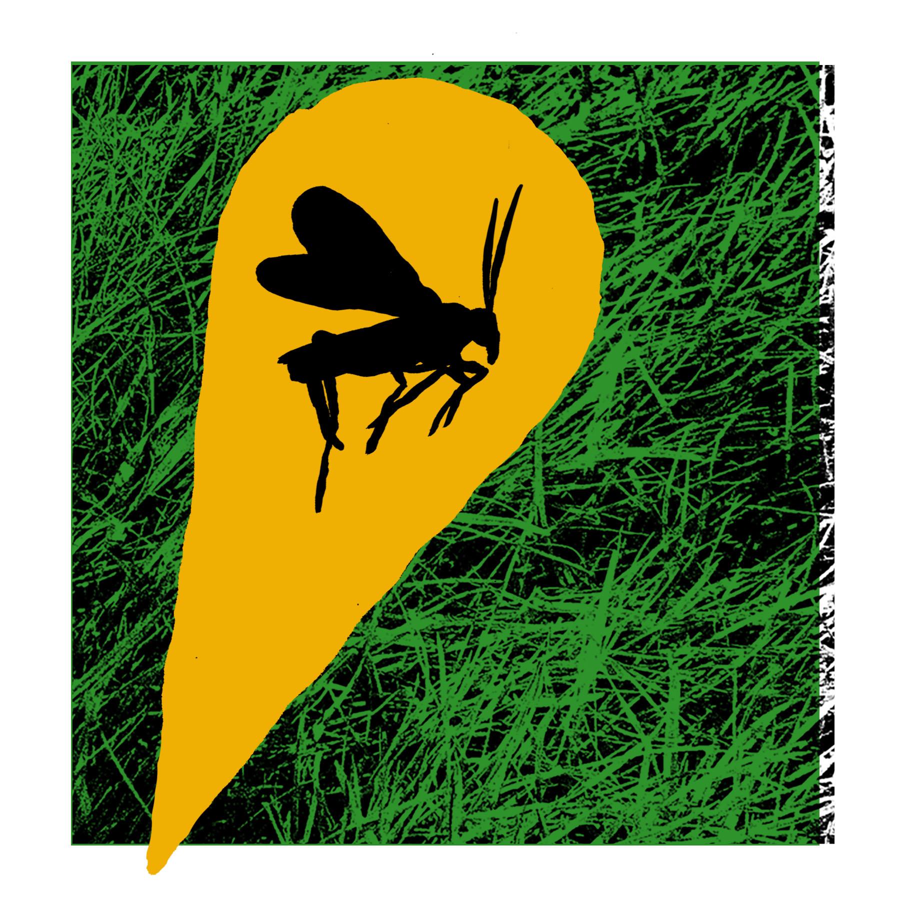 the silhouette of a wasp spotlighted in yellow atop green grass
