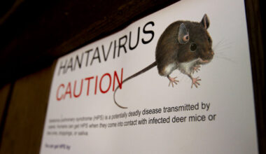 How a Hantavirus Infection Feels: ‘You Just Can’t Get the Air In’