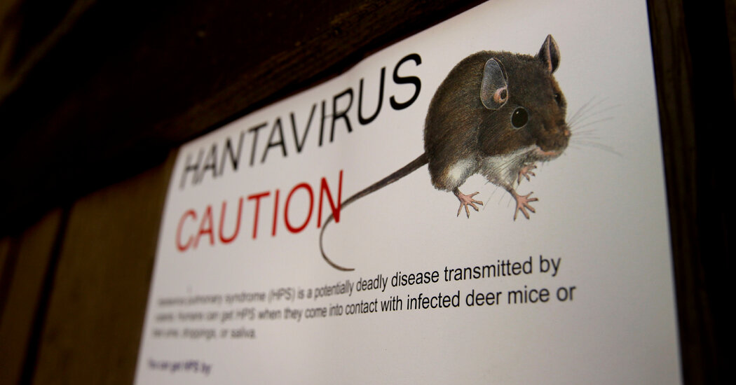How a Hantavirus Infection Feels: ‘You Just Can’t Get the Air In’