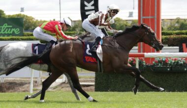 Legarto fetches $3.4 million as Kiwi queens in hot demand at sale