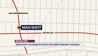 News 12 | Bronx | Man Shot Multiple Times In Allerton
