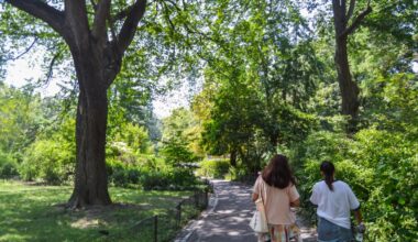 NYC Parks hiring for seasonal positions: Apply today